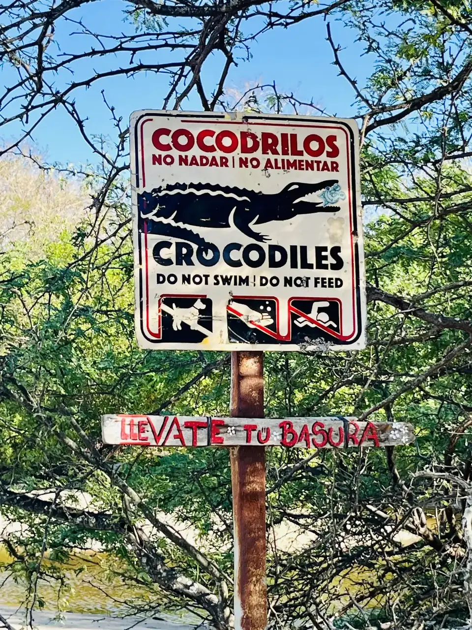 Panneau d’avertissement sur les crocodiles près de l’estuaire : baignade interdite, ne pas nourrir