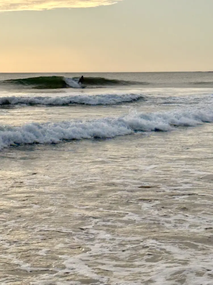 Surfeur sur une vague à Playa Grande dans la lumière dorée