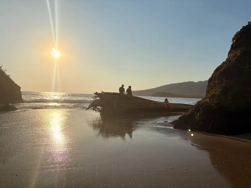 Assis sur un énorme tronc de bois flotté au coucher du soleil