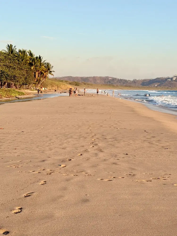 Longue plage déserte à Playa Grande, avec palmiers et traces de pas