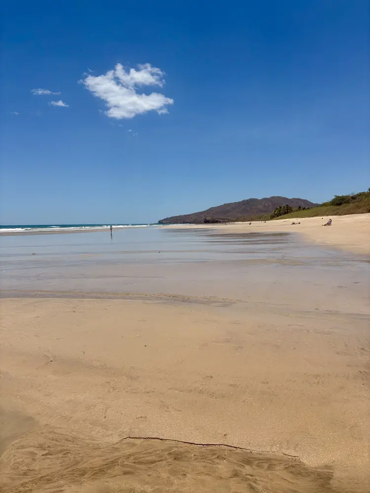 Blue sky, wet sand and the headland