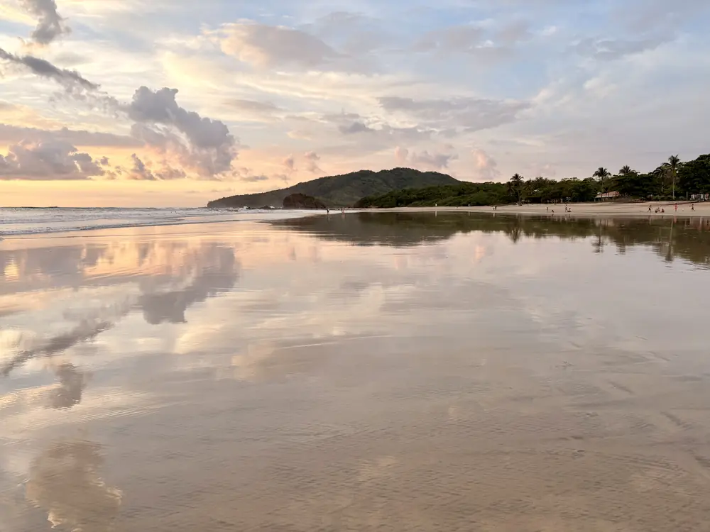 The headland and palms reflected at dusk