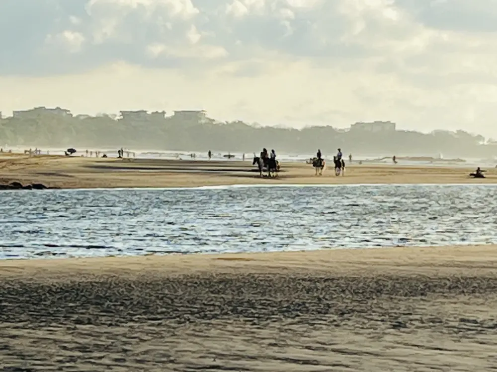 Cavaliers sur le sable à l’embouchure de l’estuaire